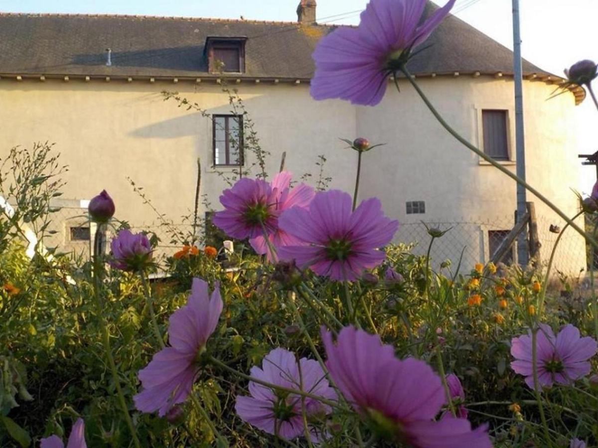 Manoir De La Guignardiere : The Ou Cafe ? Chavagne Extérieur photo